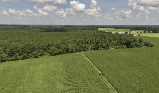 Photo #13 of 04 Albritton Road, Snow Hill, NC 10.9 acres