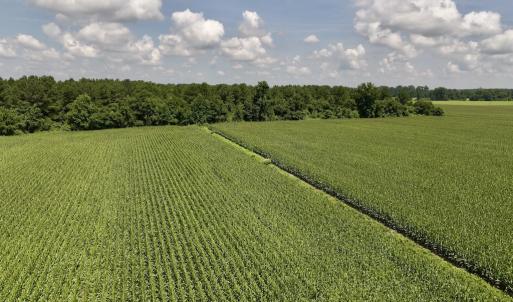 Photo #14 of 04 Albritton Road, Snow Hill, NC 10.9 acres