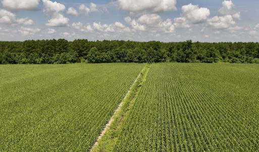 Photo #15 of 04 Albritton Road, Snow Hill, NC 10.9 acres