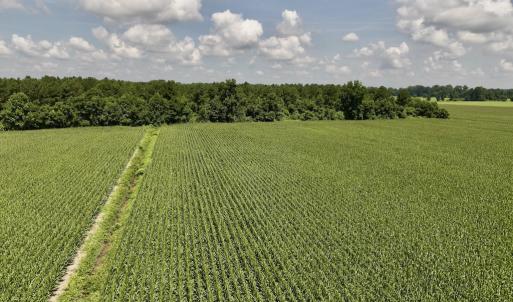 Photo #16 of 04 Albritton Road, Snow Hill, NC 10.9 acres