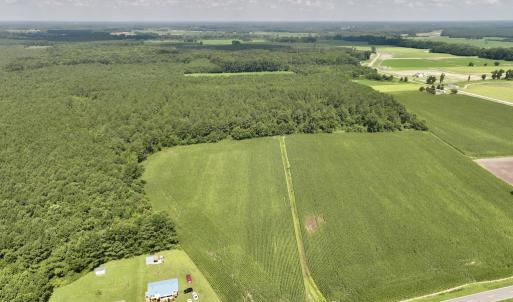 Photo #1 of 04 Albritton Road, Snow Hill, NC 10.9 acres