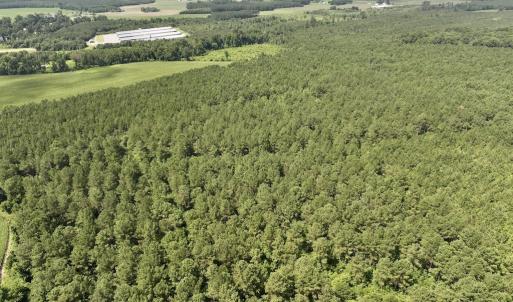 Photo #4 of 04 Albritton Road, Snow Hill, NC 10.9 acres