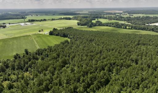 Photo #5 of 04 Albritton Road, Snow Hill, NC 10.9 acres