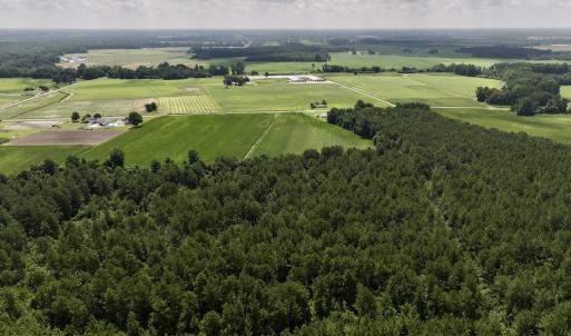 Photo #6 of 04 Albritton Road, Snow Hill, NC 10.9 acres