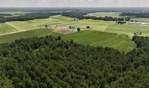 Photo #7 of 04 Albritton Road, Snow Hill, NC 10.9 acres