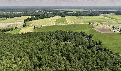 Photo #8 of 04 Albritton Road, Snow Hill, NC 10.9 acres