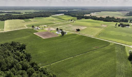 Photo #9 of 04 Albritton Road, Snow Hill, NC 10.9 acres