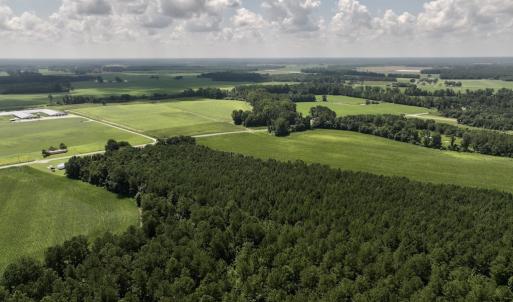 Photo #21 of 04 Albritton Road, Snow Hill, NC 10.9 acres