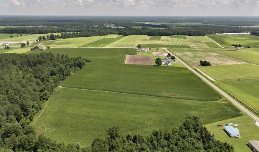 Photo #10 of 05 Albritton Road, Snow Hill, NC 16.6 acres