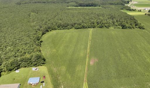 Photo #11 of 05 Albritton Road, Snow Hill, NC 16.6 acres