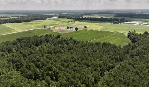 Photo #12 of 05 Albritton Road, Snow Hill, NC 16.6 acres