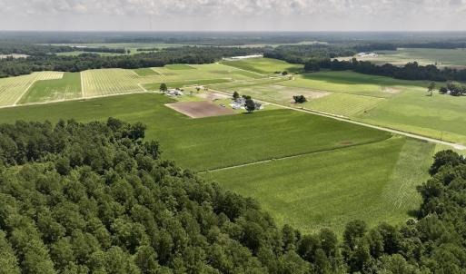 Photo #13 of 05 Albritton Road, Snow Hill, NC 16.6 acres