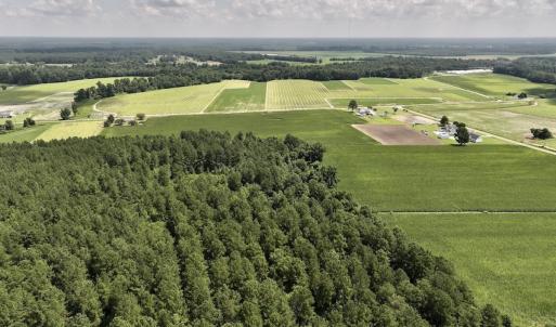 Photo #14 of 05 Albritton Road, Snow Hill, NC 16.6 acres