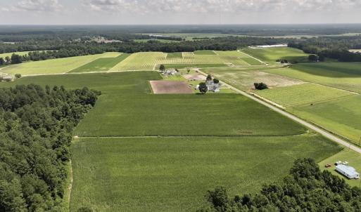 Photo #15 of 05 Albritton Road, Snow Hill, NC 16.6 acres