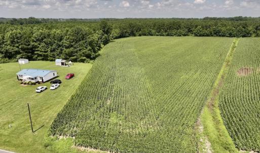 Photo #16 of 05 Albritton Road, Snow Hill, NC 16.6 acres
