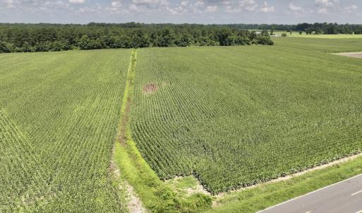 Photo #17 of 05 Albritton Road, Snow Hill, NC 16.6 acres