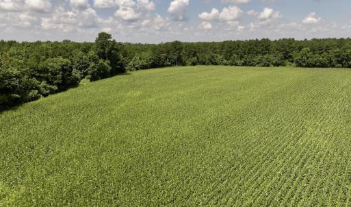 Photo #18 of 05 Albritton Road, Snow Hill, NC 16.6 acres