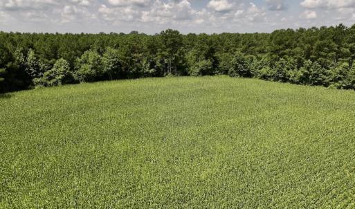 Photo #20 of 05 Albritton Road, Snow Hill, NC 16.6 acres