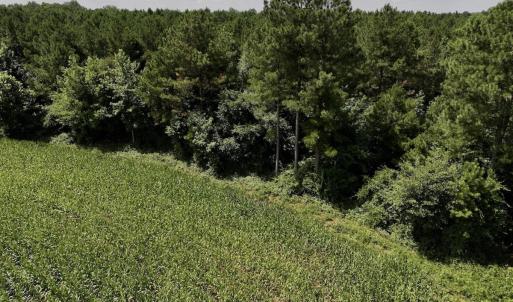 Photo #21 of 05 Albritton Road, Snow Hill, NC 16.6 acres
