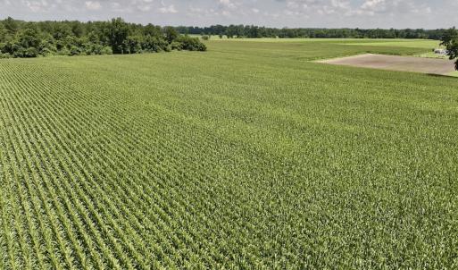 Photo #26 of 05 Albritton Road, Snow Hill, NC 16.6 acres