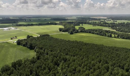 Photo #4 of 05 Albritton Road, Snow Hill, NC 16.6 acres