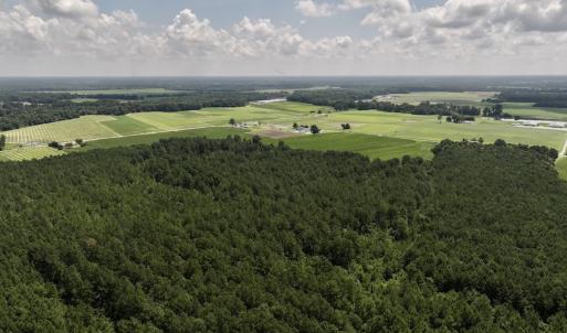 Photo #5 of 05 Albritton Road, Snow Hill, NC 16.6 acres