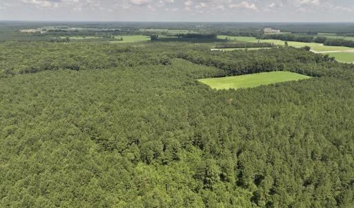 Photo #8 of 05 Albritton Road, Snow Hill, NC 16.6 acres