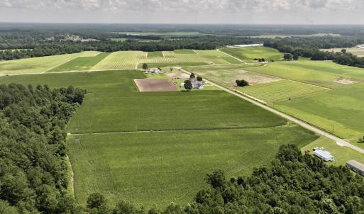 Photo #9 of 05 Albritton Road, Snow Hill, NC 16.6 acres