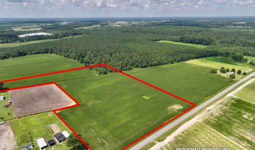 Photo #15 of 02 Vandiford Thomas Road, Snow Hill, NC 10.9 acres