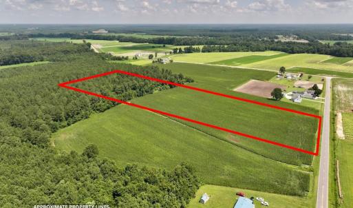 Photo #17 of 03 Albritton Road , Snow Hill, NC 11.4 acres