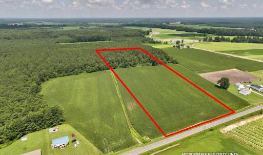 Photo #18 of 03 Albritton Road , Snow Hill, NC 11.4 acres