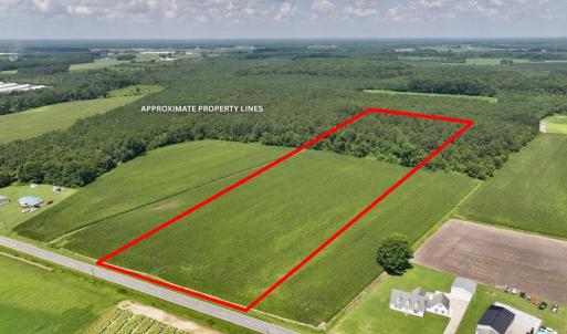 Photo #4 of 03 Albritton Road , Snow Hill, NC 11.4 acres