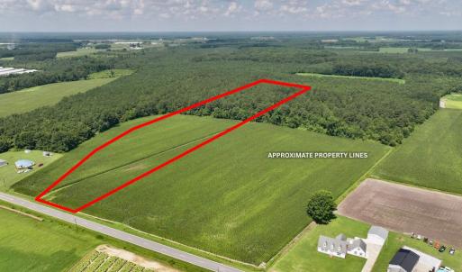 Photo #21 of 04 Albritton Road, Snow Hill, NC 10.9 acres