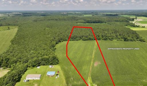 Photo #2 of 04 Albritton Road, Snow Hill, NC 10.9 acres