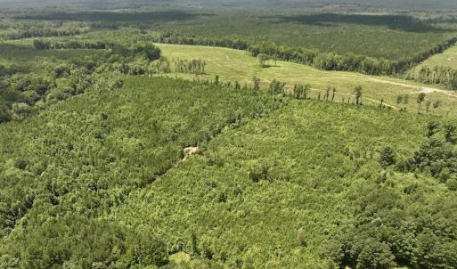 Photo #15 of Off Dancing Horse Drive, Warrenton, NC 3.4 acres