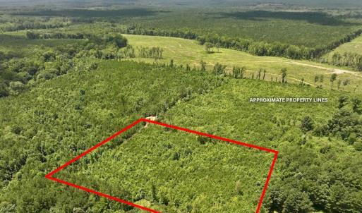 Photo #16 of Off Dancing Horse Drive, Warrenton, NC 3.4 acres