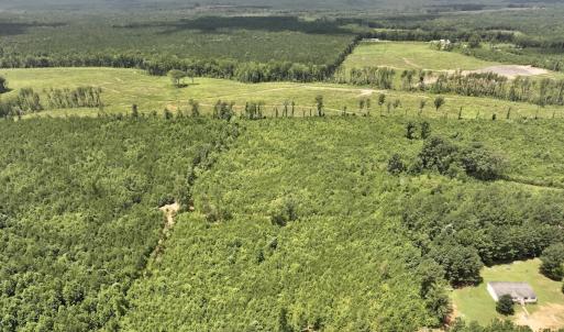 Photo #17 of Off Dancing Horse Drive, Warrenton, NC 3.4 acres