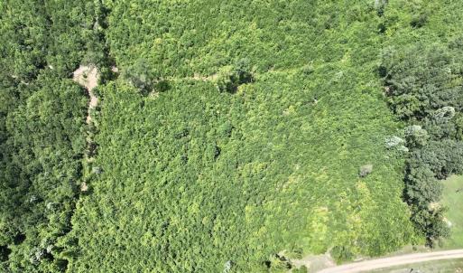 Photo #19 of Off Dancing Horse Drive, Warrenton, NC 3.4 acres