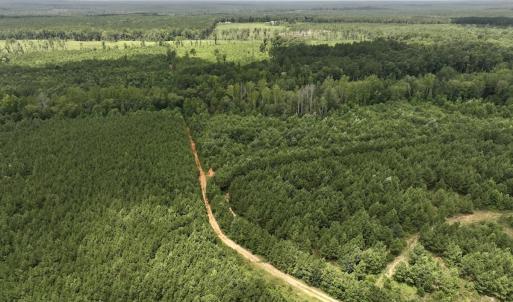 Photo #22 of Off Dancing Horse Drive, Warrenton, NC 3.4 acres