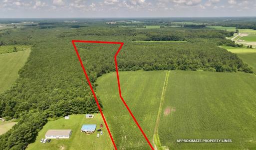Photo #11 of 05 Albritton Road, Snow Hill, NC 16.6 acres