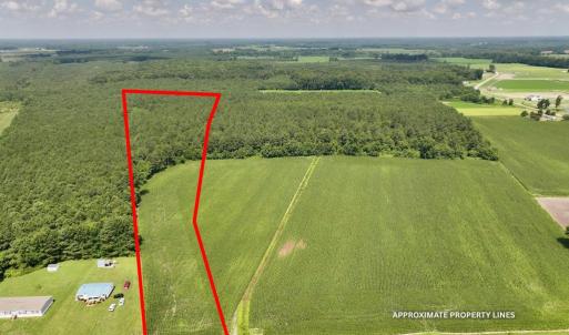 Photo #13 of 05 Albritton Road, Snow Hill, NC 16.6 acres