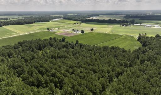 Photo #14 of 05 Albritton Road, Snow Hill, NC 16.6 acres