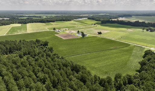 Photo #15 of 05 Albritton Road, Snow Hill, NC 16.6 acres