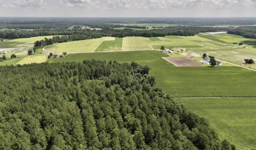 Photo #16 of 05 Albritton Road, Snow Hill, NC 16.6 acres