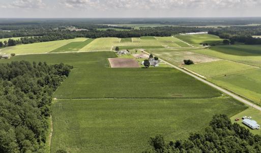 Photo #17 of 05 Albritton Road, Snow Hill, NC 16.6 acres