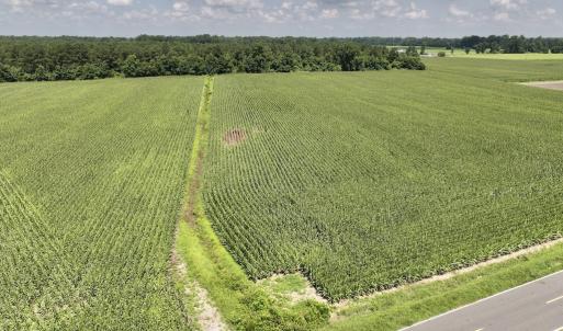 Photo #19 of 05 Albritton Road, Snow Hill, NC 16.6 acres
