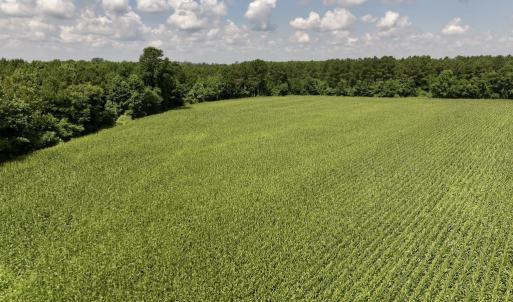 Photo #20 of 05 Albritton Road, Snow Hill, NC 16.6 acres