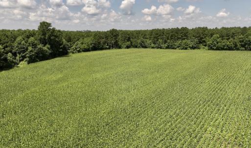 Photo #21 of 05 Albritton Road, Snow Hill, NC 16.6 acres