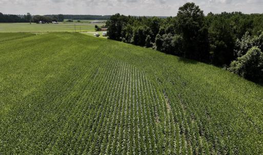 Photo #24 of 05 Albritton Road, Snow Hill, NC 16.6 acres
