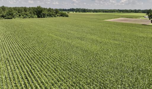 Photo #28 of 05 Albritton Road, Snow Hill, NC 16.6 acres